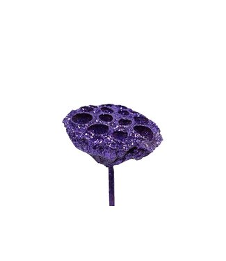 QC Lotus 5-7cm on stem Purple + Glitter | Per 50 stuks