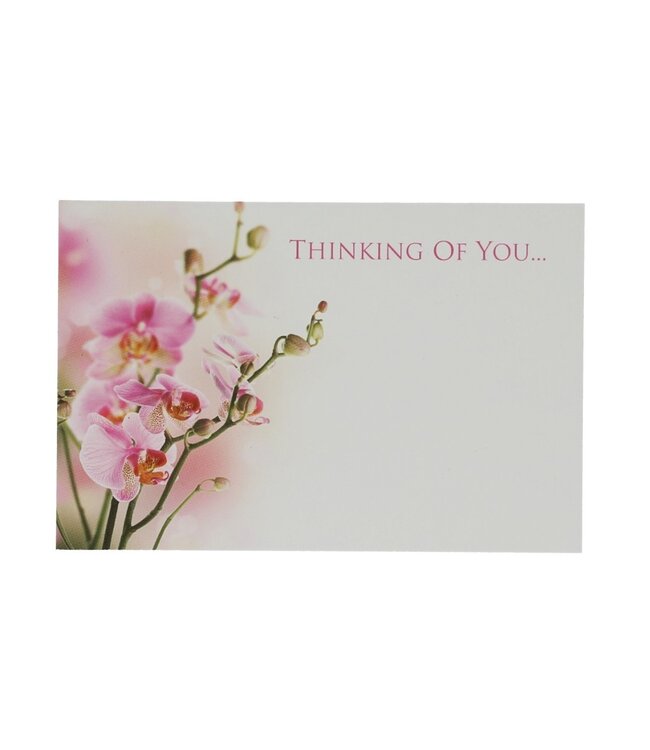 Pink card with English text “Thinking of You” | Width 9 centimetres | Height 6 centimetres | Available to order in sets of 50