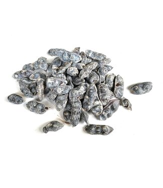 QC Terry pod | Gewicht 500 gram r in poly Frosted White | Per 4 stuks