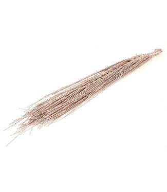 QC Podisiri branches 60-70 centimeter p.pc Champagne | Per 8 stuks