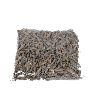 QC Screw pod | Gewicht 500 gram r in poly Frosted White | Per 4 stuks