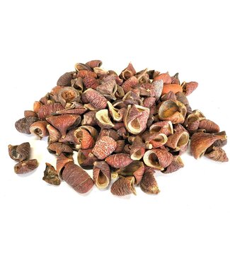 QC Lansunia petal | Gewicht 500 gram r in poly Natural | Per 4 stuks