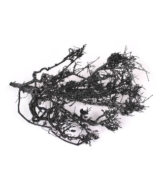 QC Bonsai twig 30-50cm p.pc Black + Silver Glitter ( x 4 )