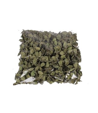 QC Cotton pods Gewicht 250 gramr in poly Frosted Light Green | Per 4 stuks