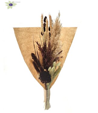 QC Gemengde kleuren gedroogd boeket BQ 8 | Droogbloemen boeket | Lengte 60 centimeter | Per 5 stuks