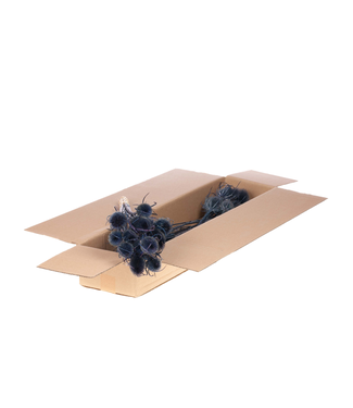 LDD Dark blue dried thistle | Chardon dried flowers | Length 55 centimetres | Per 3 pieces