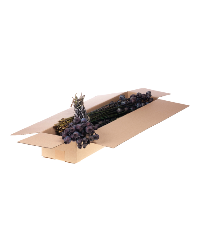 Coquelicots séchés bleu foncé | Commande par 4 bottes