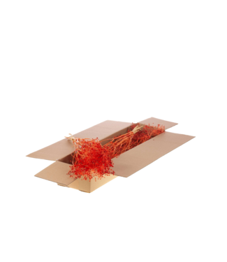 LDD Intensives Orange getrocknet Gold Screen | Bupleurum Offene getrocknete Blumen | Länge 55 Zentimeter | Pro 4 Stück