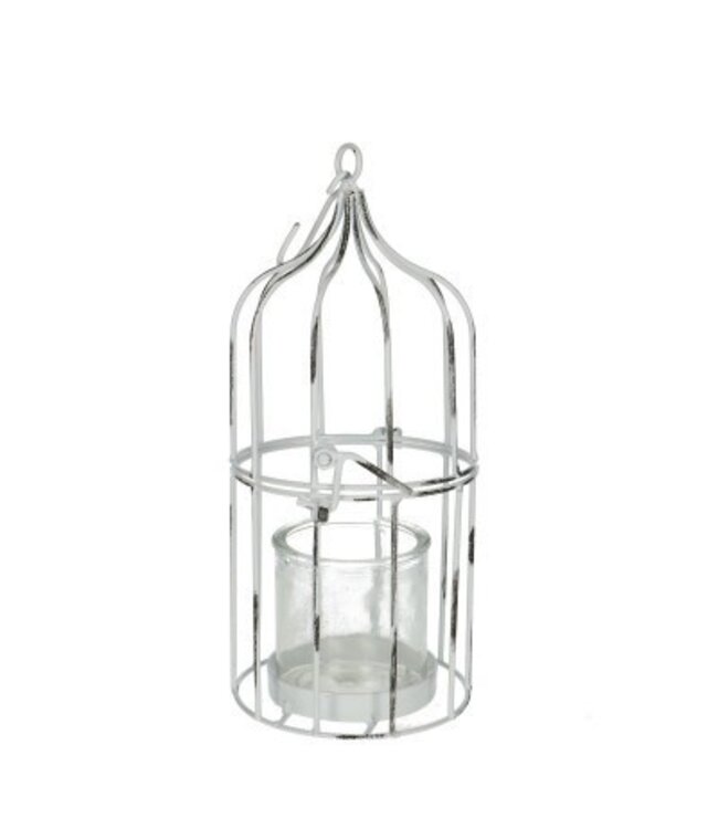 Homedeco Vogelkooi d15*30cm+glas ( x 4 )