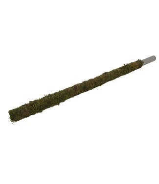 QC Tube 30mm with green moss 80cm p.pc Natural ( x 10 )