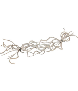 4A droogdeco Crazyvine 60 centimeter | Per 10 stuks
