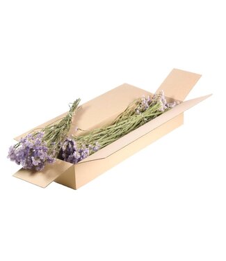 LDD Natural lilac-coloured dried sea lavender | Statice sinuata dried flowers | Per 5 pieces