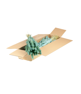 LDD Getrocknete Setarea | Dunkelblaue Trockenblumen | Pro 4 Bündel