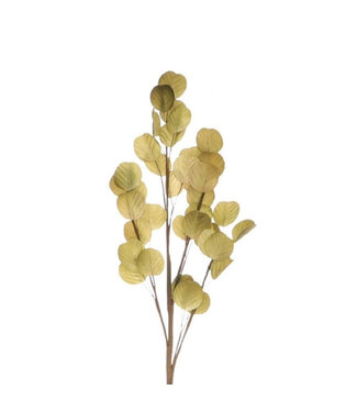 4A Green Foam Circum Folio artificial flowers | Length 113 centimetres | Per 12 pieces