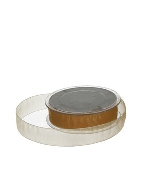 4A Goudkleurig Organza lint | 25 millimeter breed | Lengte 50 meter   | Per stuk