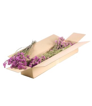 LDD Natural pink dried sea lavender | Statice sinuata dried flowers | Per 5 pieces