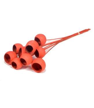 LDD Bell cup o/s 10pc burnt orange ( x 12 )