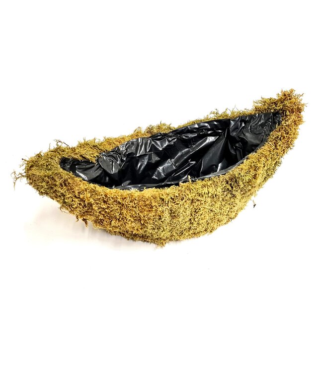 Planter Flat moss Oval L40cm B14cm Natural | Per 2 stuks te bestellen