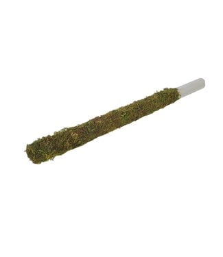 QC Tube 30mm with green moss 50cm p.pc Natural | Per 10 stuks