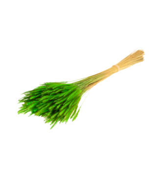 LDD Soft worms grass green | Per 15 stuks