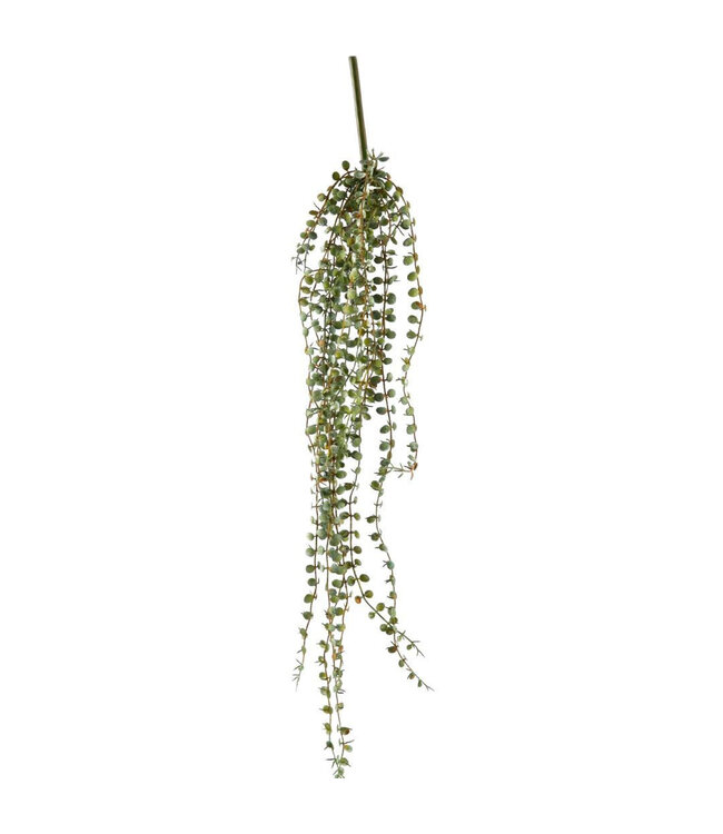 Groene Succulent trailing kunstplant | Lengte 71 centimeter  | Per stuk te bestellen