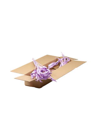 LDD Lilac Misty Strelitzienblatt | 10 Strelitzienzweige pro Bund | Pro 2 Bunde