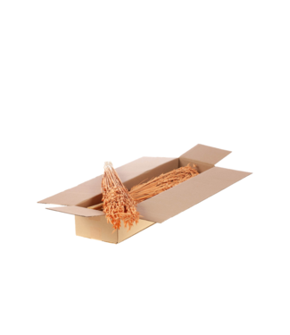 LDD Avoine séchée couleur corail mat | Fleurs séchées Avena | Par 5 pièces