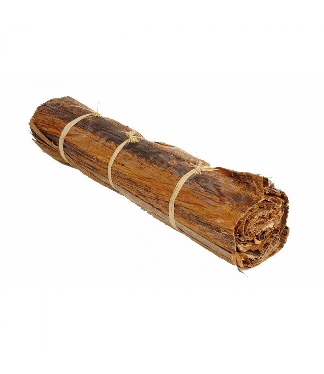 Brown natural dried deco Banana roll | Diameter 12 centimetres | Height 50 centimetres | Available per piece