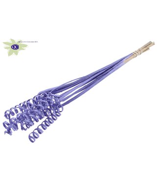 QC Cane Spring on stem Metallic Purple | Per 50 stuks