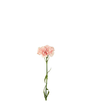 4A Fleurs artificielles oeillet rose clair | Longueur 53 centimètres | Par 6 pièces