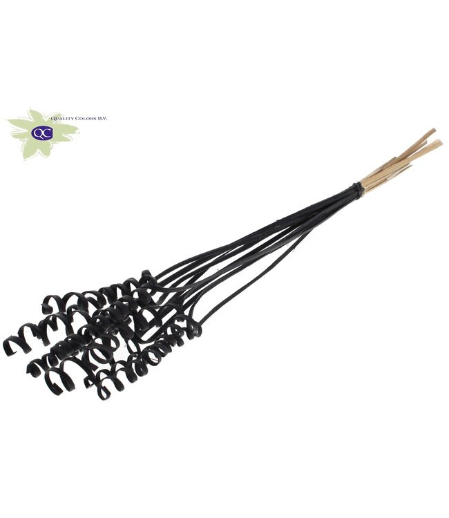 Cane Spring on stem Covered Black | Per 50 stuks te bestellen