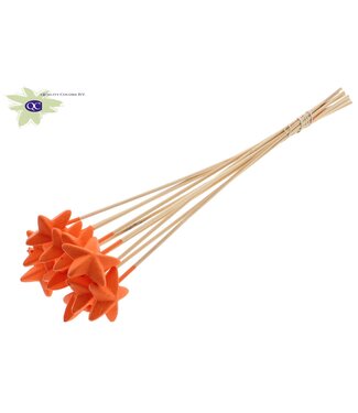 QC Styro Star flat type on stem Orange | Per 50 stuks