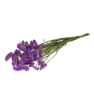 LDD Natural dark lilac coloured dried sea lavender | Statice sinuata dried flowers | Per 20 pieces