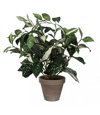4A Grüne Cordyline Kunstpflanze im Topf | Größe 11 x 25 x 35 Zentimeter | Pro 6 Stück
