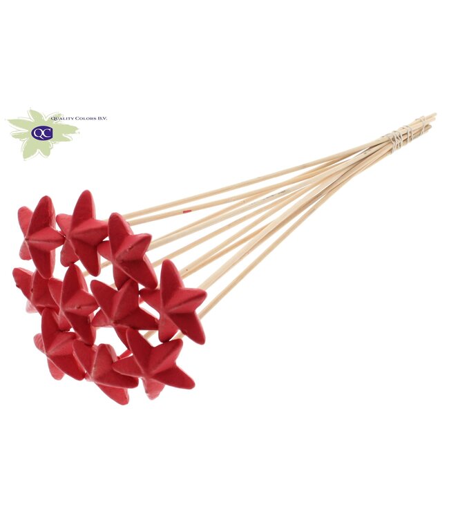 Styro Star hat type on stem Red | Per 50 stuks te bestellen