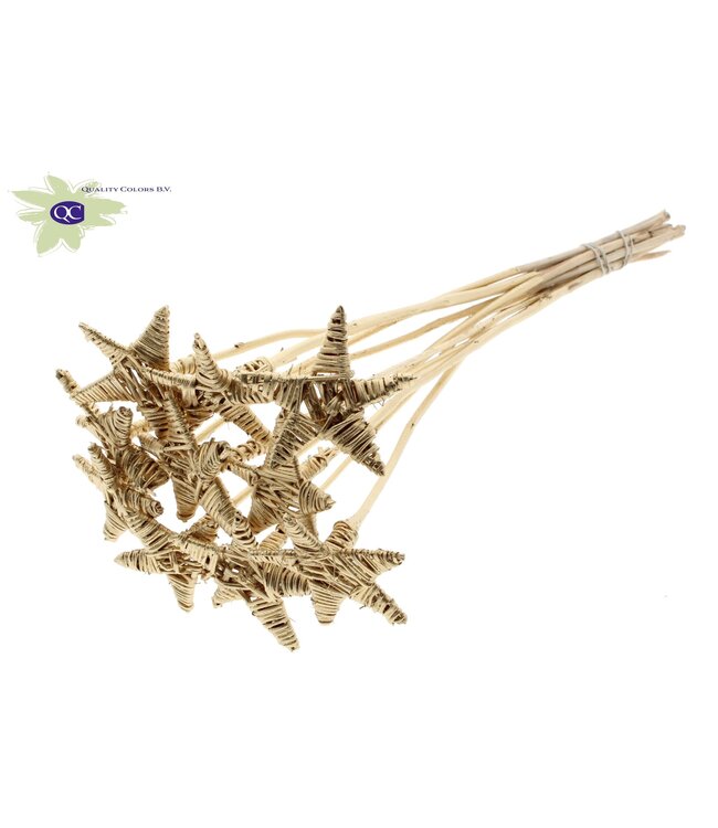 Lata Star on stem Antique Gold | Per 50 stuks te bestellen