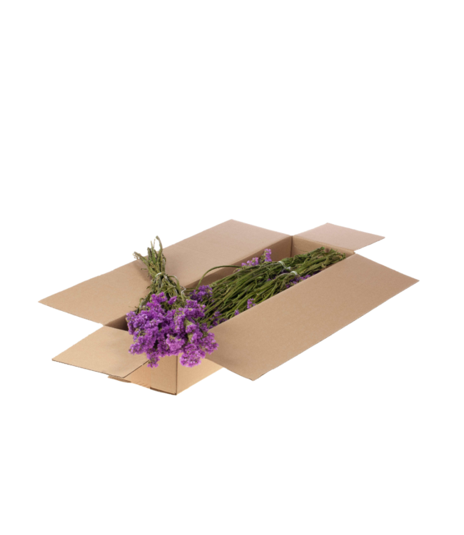 Natural dark pink dried sea lavender | Statice sinuata dried flowers | Order per 5 bunches