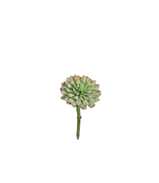 4A Kunstplanten Succulent 20cm  | Per stuk