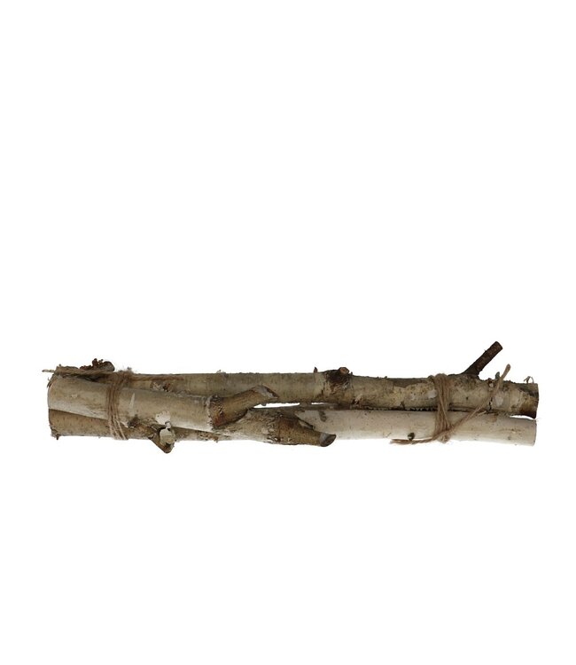 Droogdeco Berk tak 30cm x3 ( x 1 )