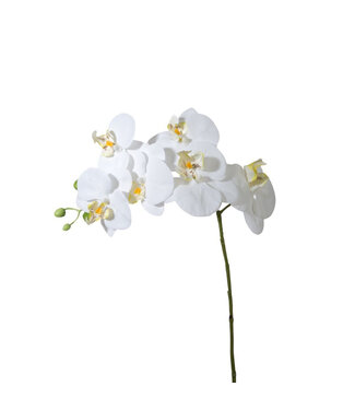 4A Kunstbloemen Phalaenopsis 68cm | Per 6 stuks