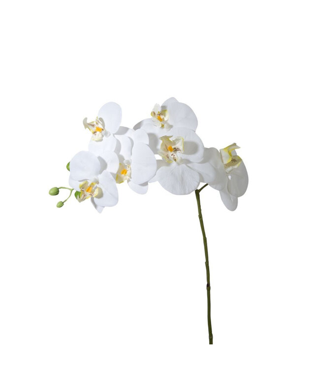 Kunstbloemen Phalaenopsis 68cm | Per 6 stuks te bestellen