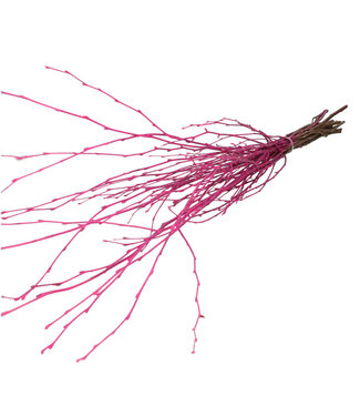 4A Cherry-coloured dried birch branches | Length 70 centimetres | 10 branches per bunch | Per bunch