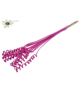 QC Cane Spring on stem Covered Cerise | Per 50 stuks