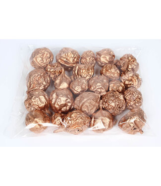 QC Liverfruit 400gr in poly Copper | Per 16 stuks