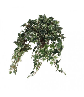 4A Grün-weiße Hedera Kunstpflanze im Topf | Größe 11 x 25 x 45 Zentimeter | Pro 4 Stück