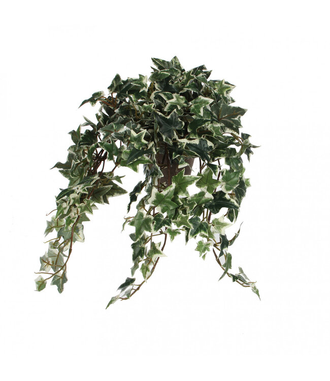Green-white hanging Hedera artificial plant in pot | Size 11 x 25 x 45 centimetres | Order 4 pieces
