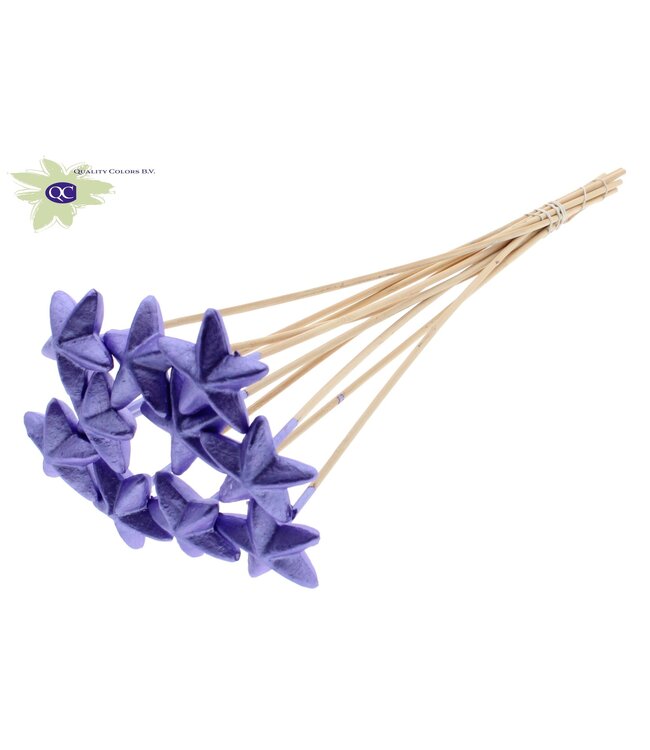 Styro Star hat type on stem Metallic Purple | Per 50 stuks te bestellen