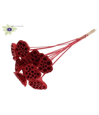 QC Lotus 5-7cm on stem Covered Red ( x 50 )