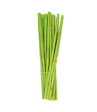 4A droogdeco Canna 40 centimeter x25  | Per stuk