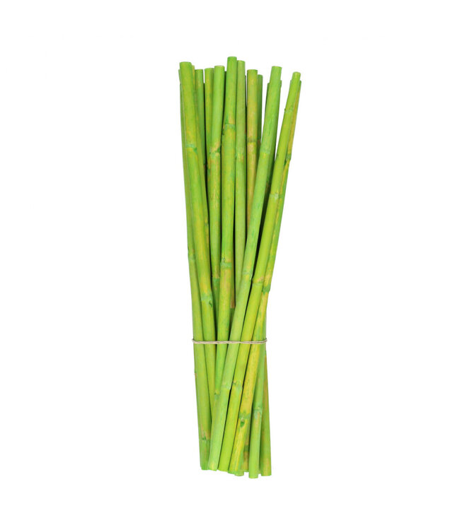 Droogdeco Canna 40cm x25 | Per stuk te bestellen